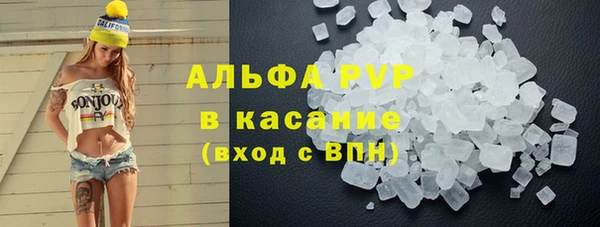 прущие грибы Абдулино