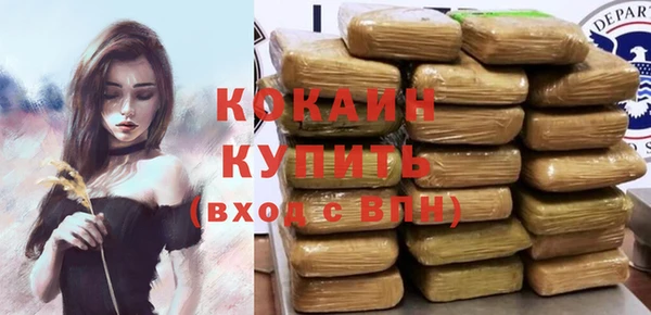амф Пестово