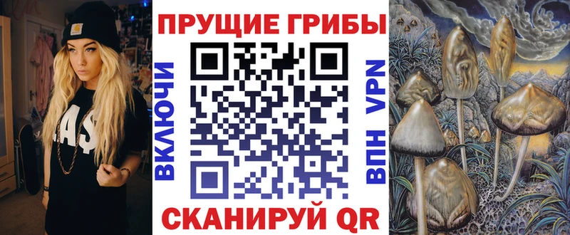 kraken ссылки  наркотики  маркетплейс формула  Галлюциногенные грибы Magic Shrooms  Кудымкар 